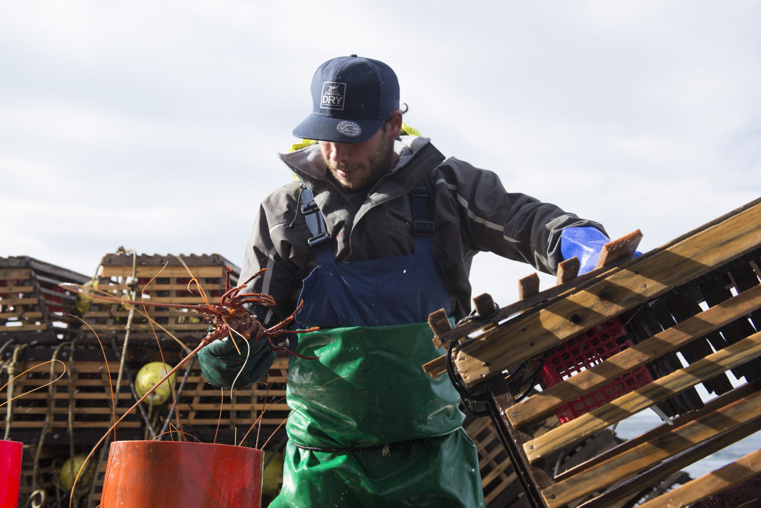 ‘Back to business’: Australian seafood industry buoyed by Federal support