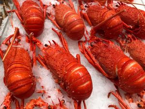 ‘No need to abandon tradition’: Easter festivities can still go ahead, says Australian seafood industry