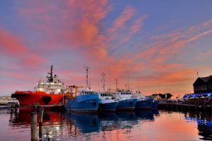 Australian seafood industry welcomes IFAM extension