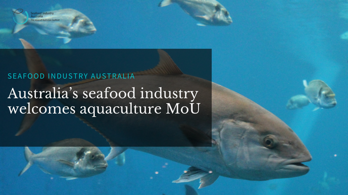 Australia’s seafood industry welcomes aquaculture MoU