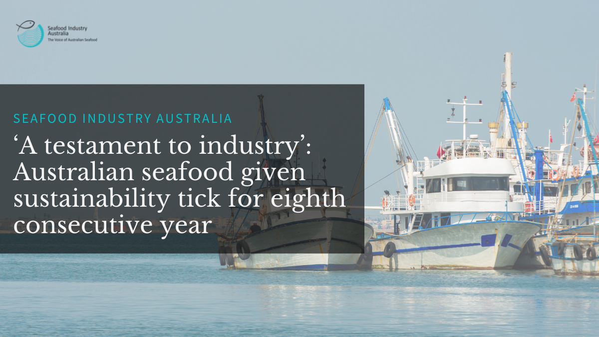 ‘A testament to industry’: Australian seafood given sustainability tick for eighth consecutive year
