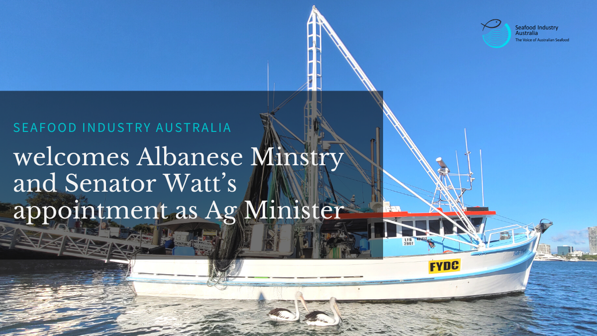 Seafood Industry Australia welcomes Albanese Ministry and Senator Watt’s appointment as Ag Minister