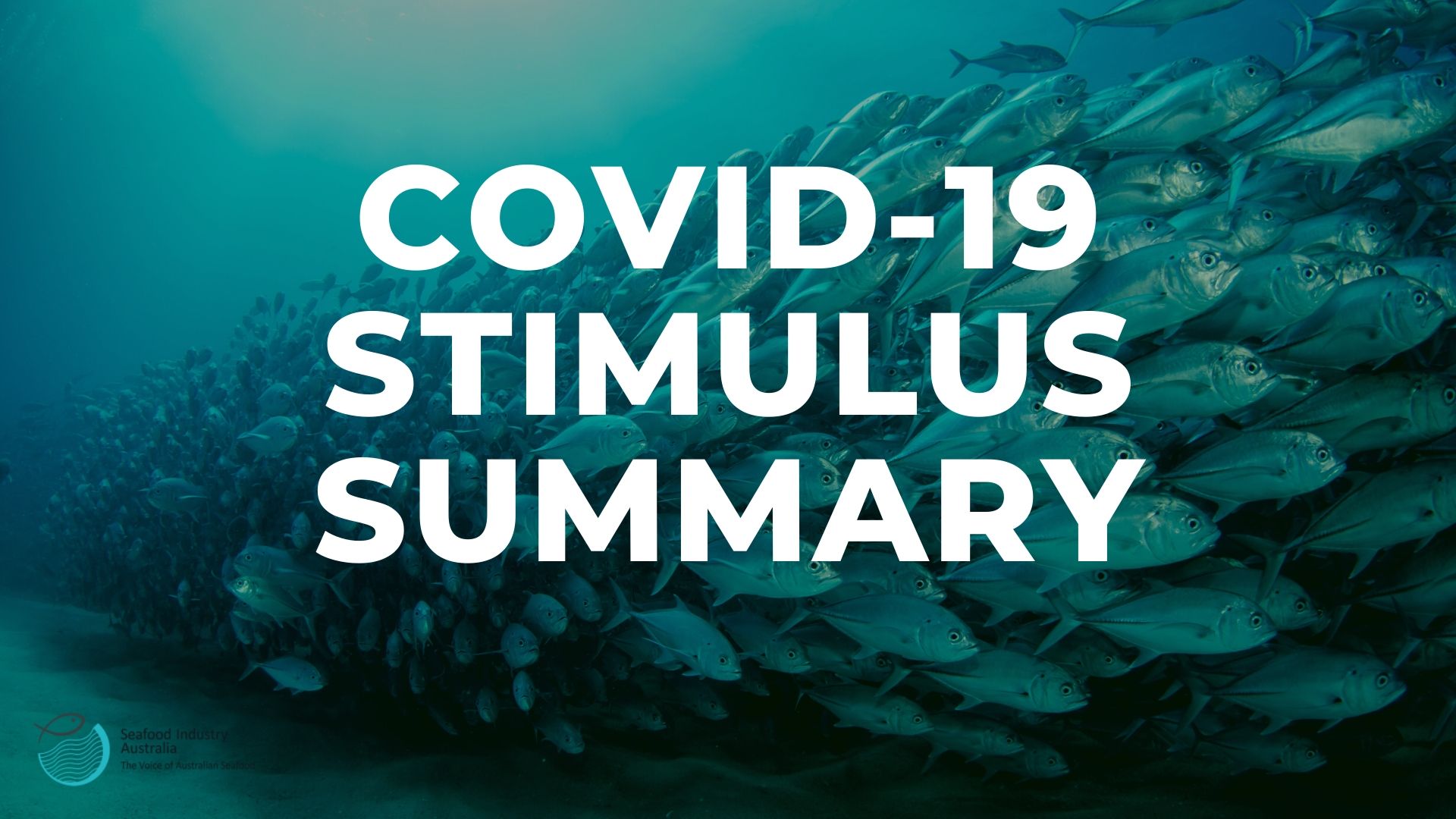 COVID-19 assistance summary and border movement summary