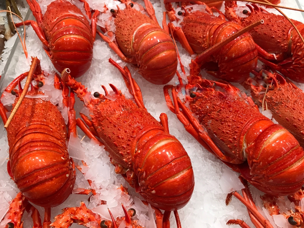Read more about the article ‘No need to abandon tradition’: Easter festivities can still go ahead, says Australian seafood industry