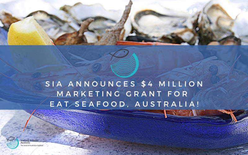 You are currently viewing ‘Celebration of an icon’: $4 million helping hand announced as fishers reel from COVID impact