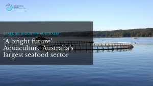 Read more about the article ‘A bright future’: Aquaculture Australia’s largest seafood sector