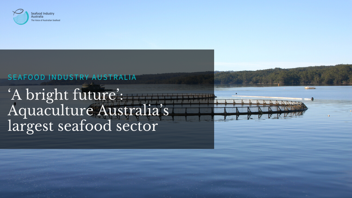 You are currently viewing ‘A bright future’: Aquaculture Australia’s largest seafood sector