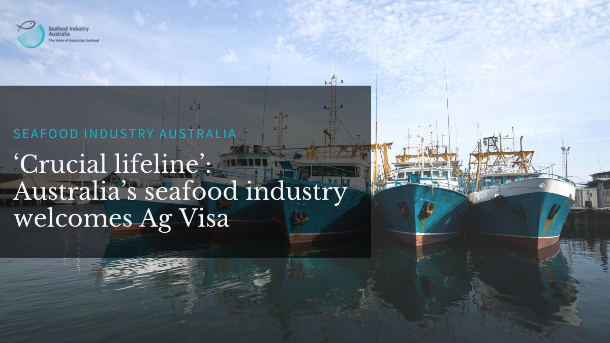 Read more about the article ‘Crucial lifeline’: Australia’s seafood industry welcomes Ag Visa