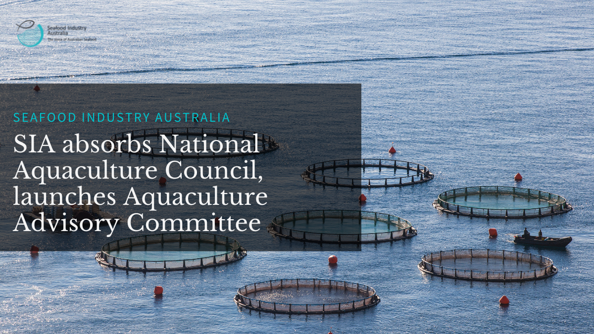 Seafood Industry Australia absorbs National Aquaculture Council, launches Aquaculture Advisory Committee