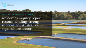 ‘Strong support’ recommended for Australia’s aquaculture sector