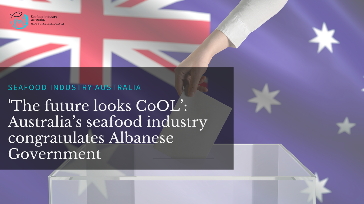 You are currently viewing ‘The future looks CoOL’: Australia’s seafood industry congratulates Albanese Government on election win