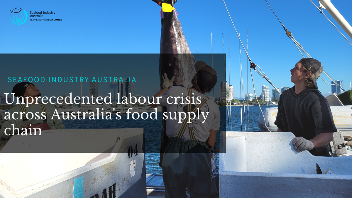 You are currently viewing UNPRECEDENTED LABOUR CRISIS ACROSS AUSTRALIA’S FOOD SUPPLY CHAIN