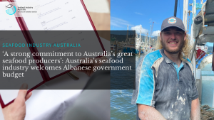 Read more about the article ‘A strong commitment to Australia’s great seafood producers’: Australia’s seafood industry welcomes Albanese government budget