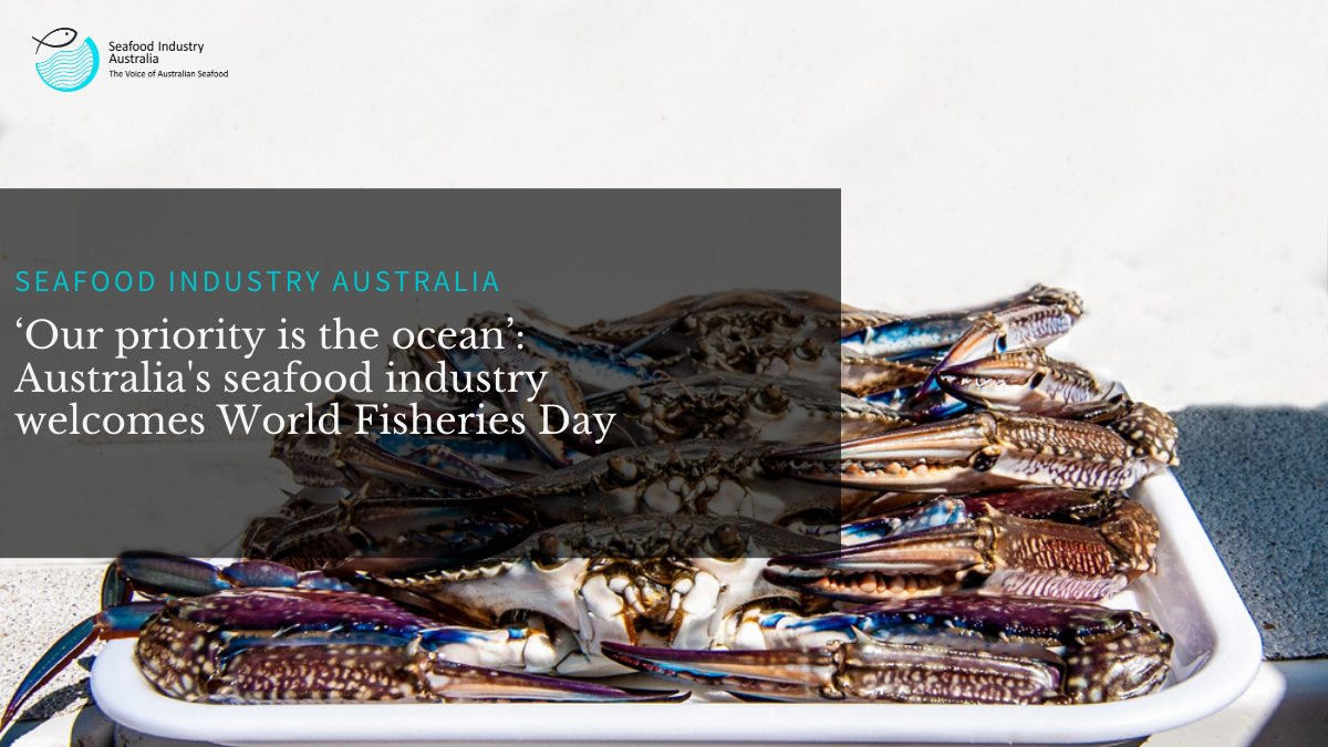 Read more about the article ‘Our priority is the ocean’: Australia’s seafood industry welcomes World Fisheries Day