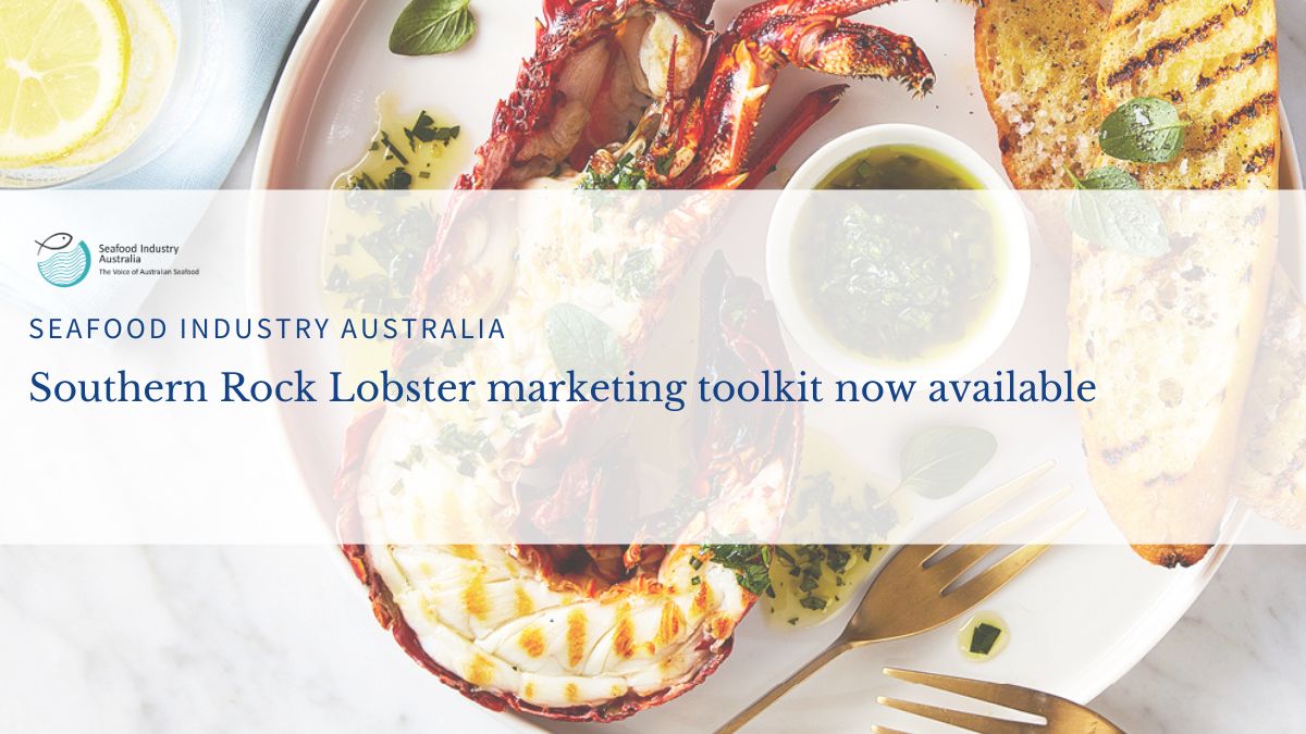 Read more about the article Seafood Industry Australia Launches Southern Rock Lobster Marketing Toolkit