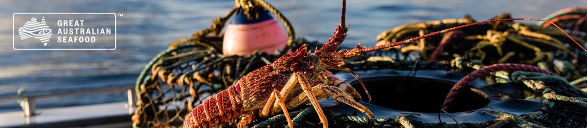 You are currently viewing Australia to Resume Live Lobster Trade with China